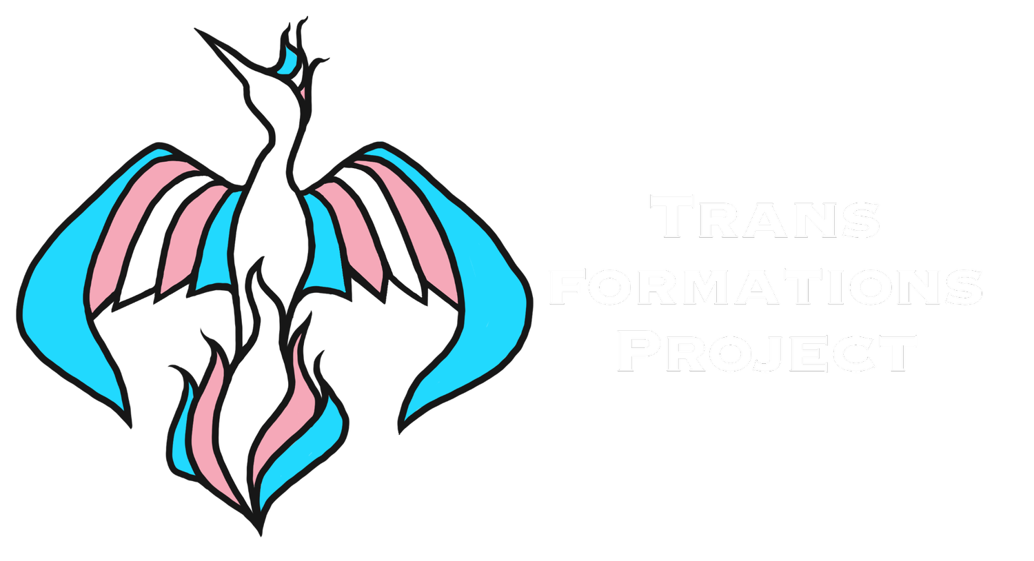 Transformations Project Tracks Anti-Trans Legislation