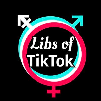 Libs Of TikTok: Gender Villain