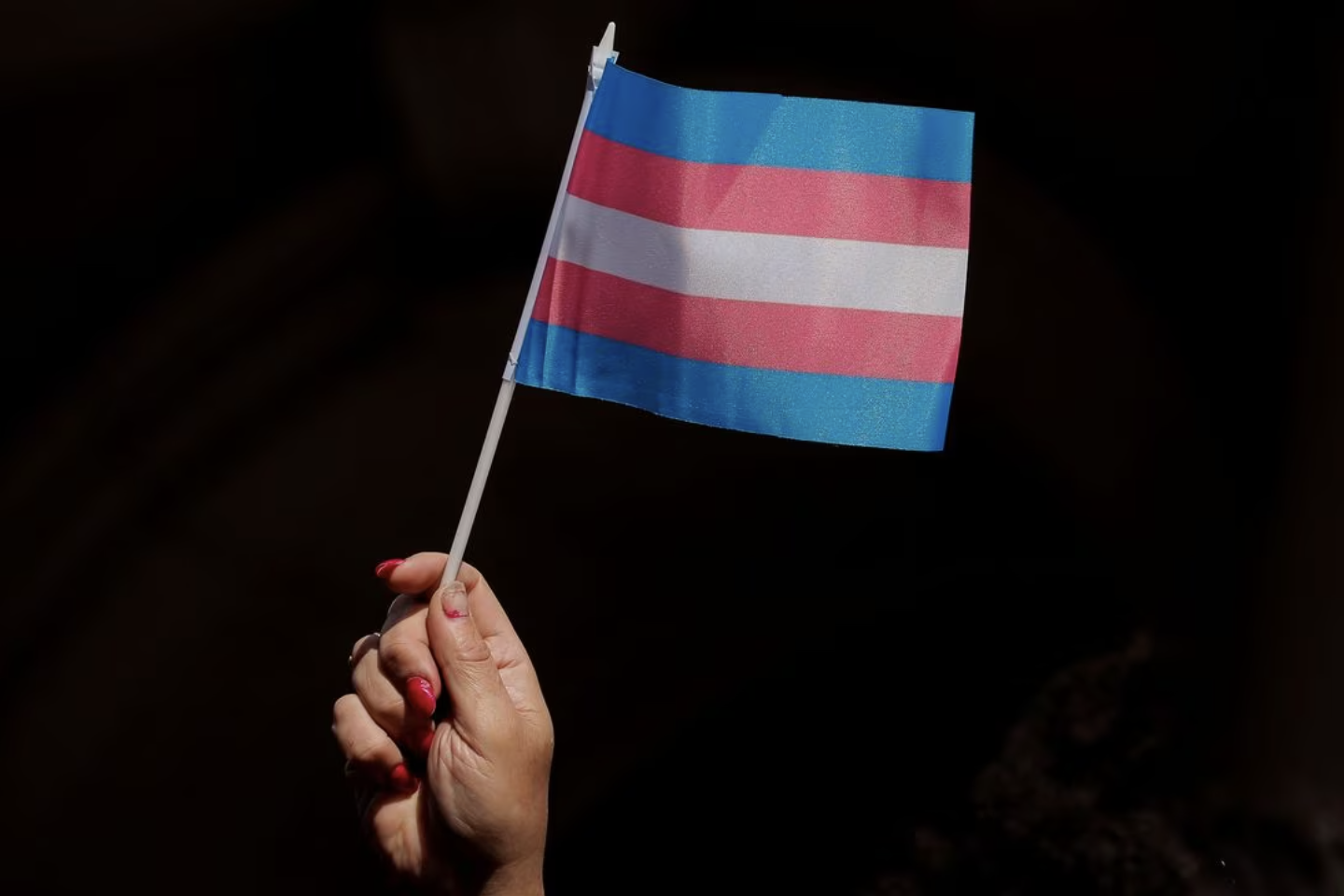 U.S. court strikes down Florida transgender health rule