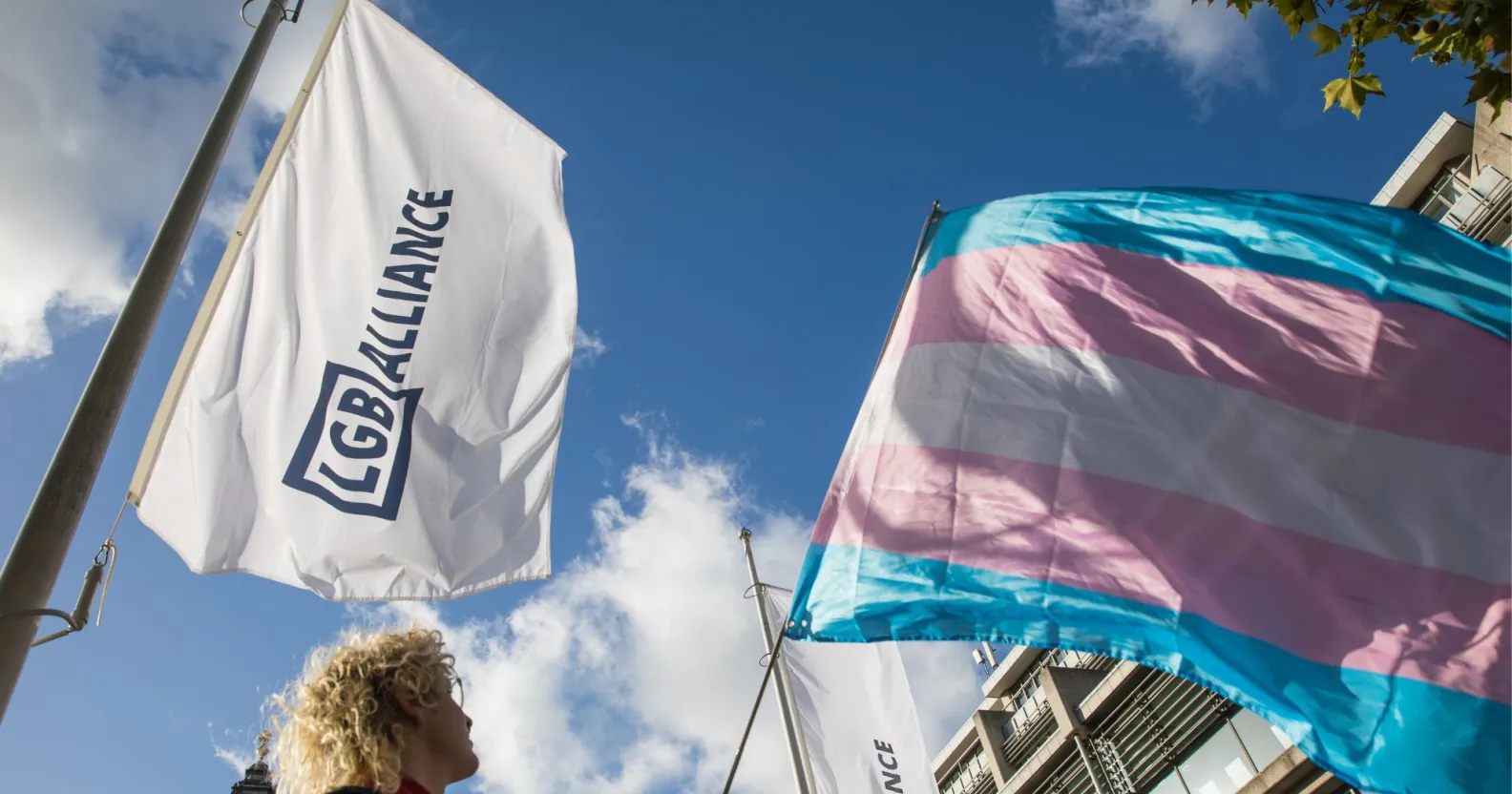 LGB Alliance retains charity status as Mermaids loses legal challenge