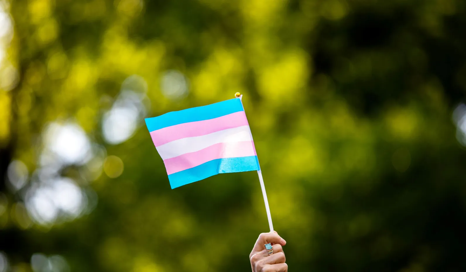 Transgender Woman Denied Euthanasia in Canada over Post-Surgical Pain and Regret